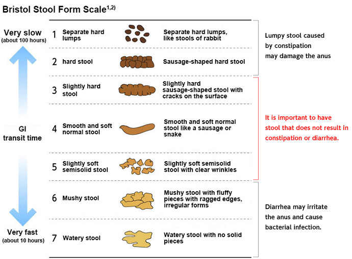 Bristol Stool Form Scale Bristol Stool Bristol Bristol Stool Scale The Best Porn Website