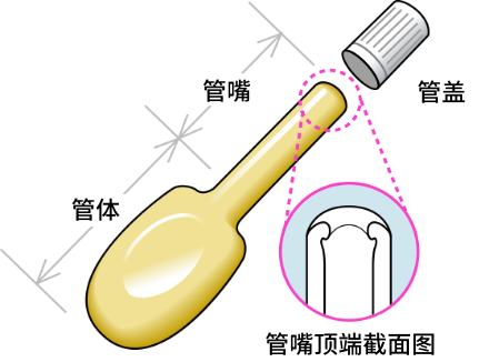 注入软膏各部分的名称