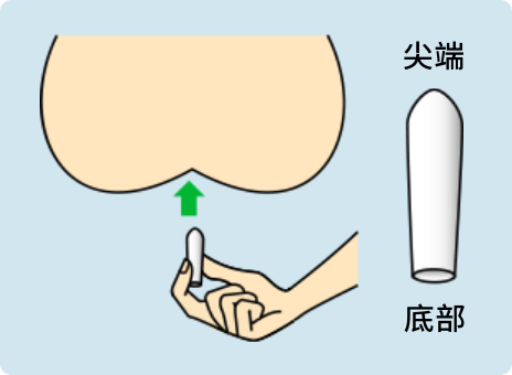 栓剂各部分名称