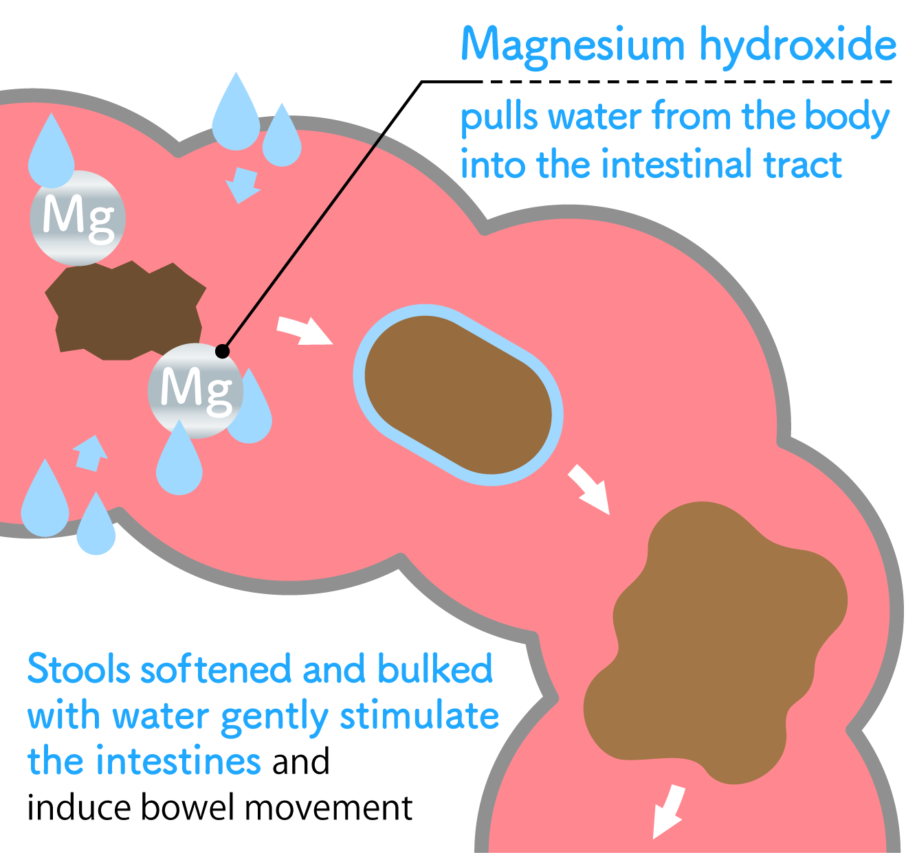 水酸化マグネシウムのはたらきのイメージ図