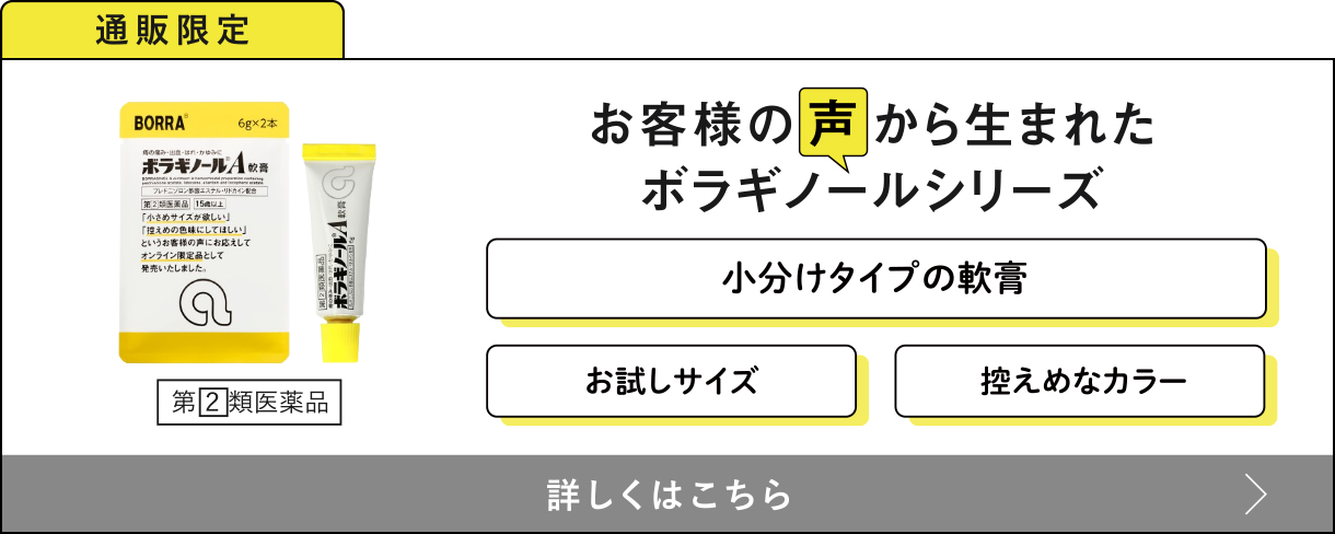 通販限定 お客様の声から生まれたボラギノールシリーズ 小分けタイプの軟膏・お試しサイズ・控えめなカラー 詳しくはこちら