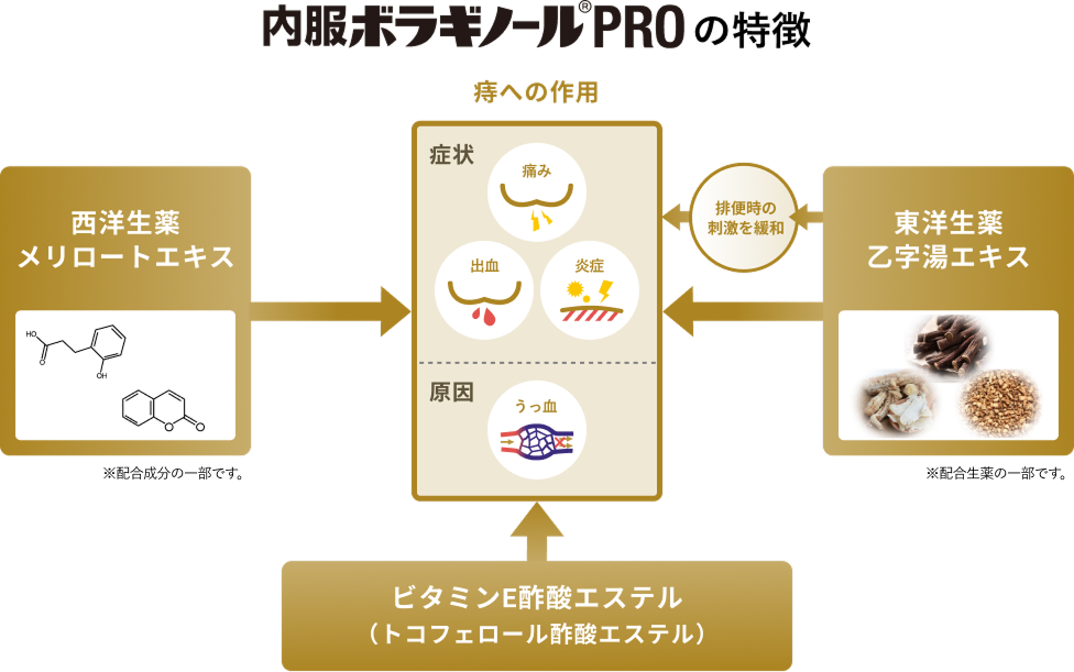 生薬配合の痔疾用内服薬のイメージ図