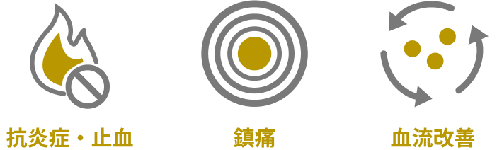生薬配合の痔疾用内服薬のイメージ図