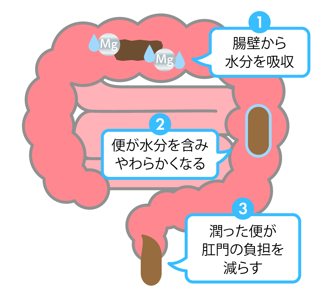 水酸化マグネシウムのはたらきのイメージ図