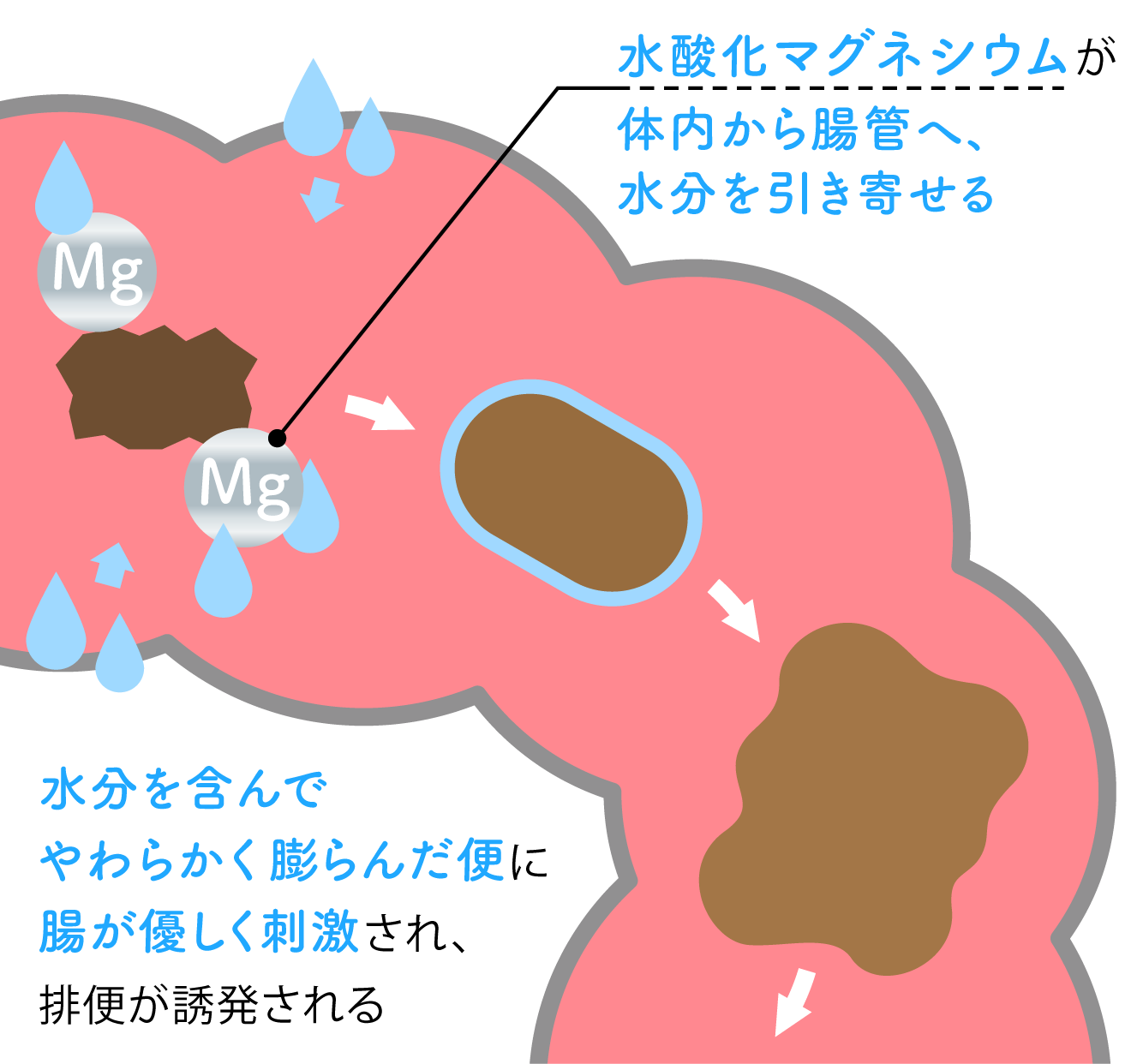 水酸化マグネシウムのはたらきのイメージ図