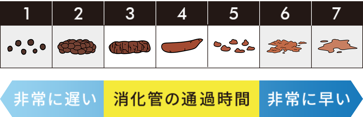 消化管の通過時間