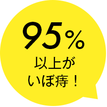 95%以上がいぼ痔！