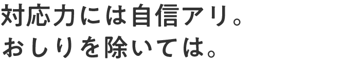 対応力には自信アリ。おしりを除いては。