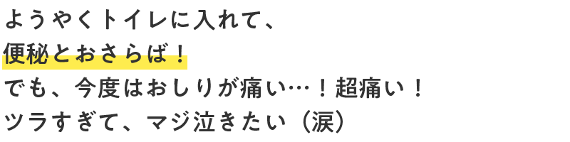 ようやくトイレに入れて、便秘とおさらば！でも、今度はおしりが痛い…！超痛い！ツラすぎて、マジ泣きたい（涙）